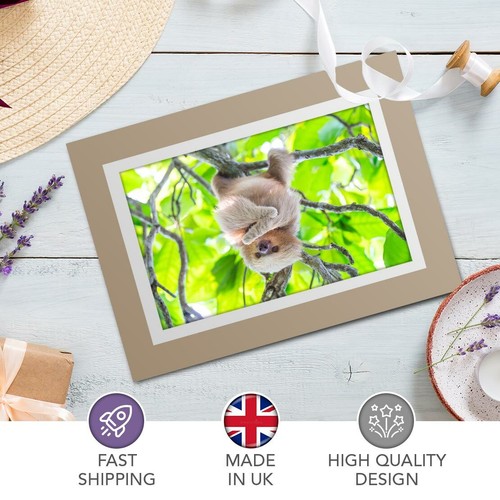 Greetings Card (Biege) - Cheeky Hanging Sloth in Jungle #21429 - 第 8/8 張圖片