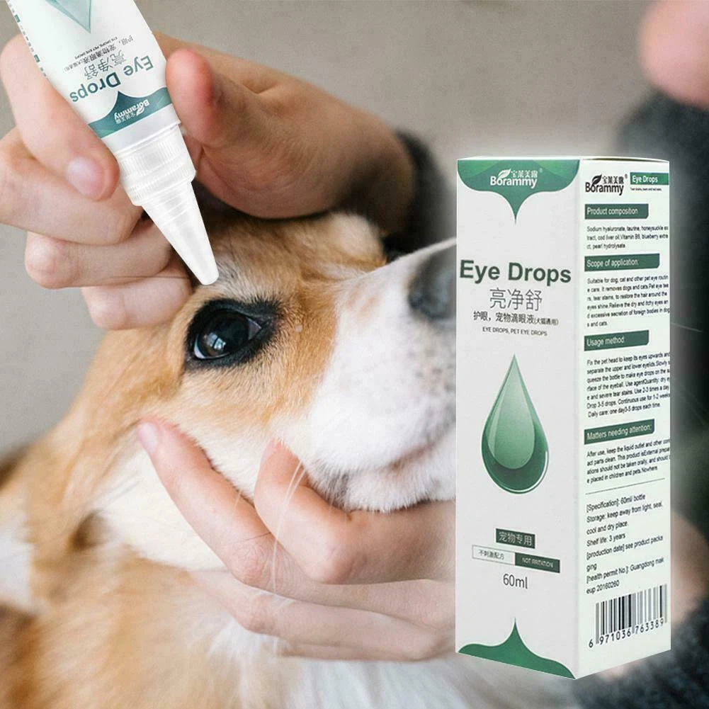 Dog eye drops near me outlet