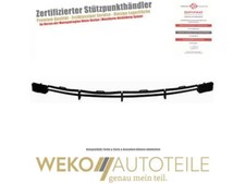 Lüftungsgitter, Stoßfänger vorne unten DIEDERICHS 1427046 für FORD