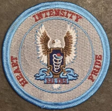 USAF AIR FORCE 321st TRAINING SQUADRON MILITARY PATCH COLOR FLIGHT DRESS VTG ORG