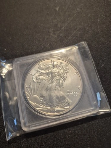 2013 American Eagle Silver 1 oz Brilliant Uncirculated