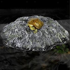 Piattaforma Per Tartarughe Acquatiche Con Ventose - Rampa Per Arrampicata, Verde, 20x21 Cm - Foto 9