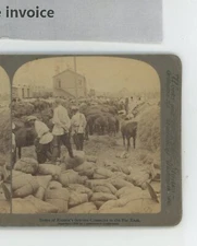 Russian Cossacks Far East Russo-Japanese War Underwood Stereoview