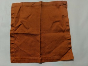 Pottery Barn Orange Pumpkin Autumn 100% Cotton 10 inch Cocktail Napkins