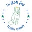 theironfoxtradingcompany