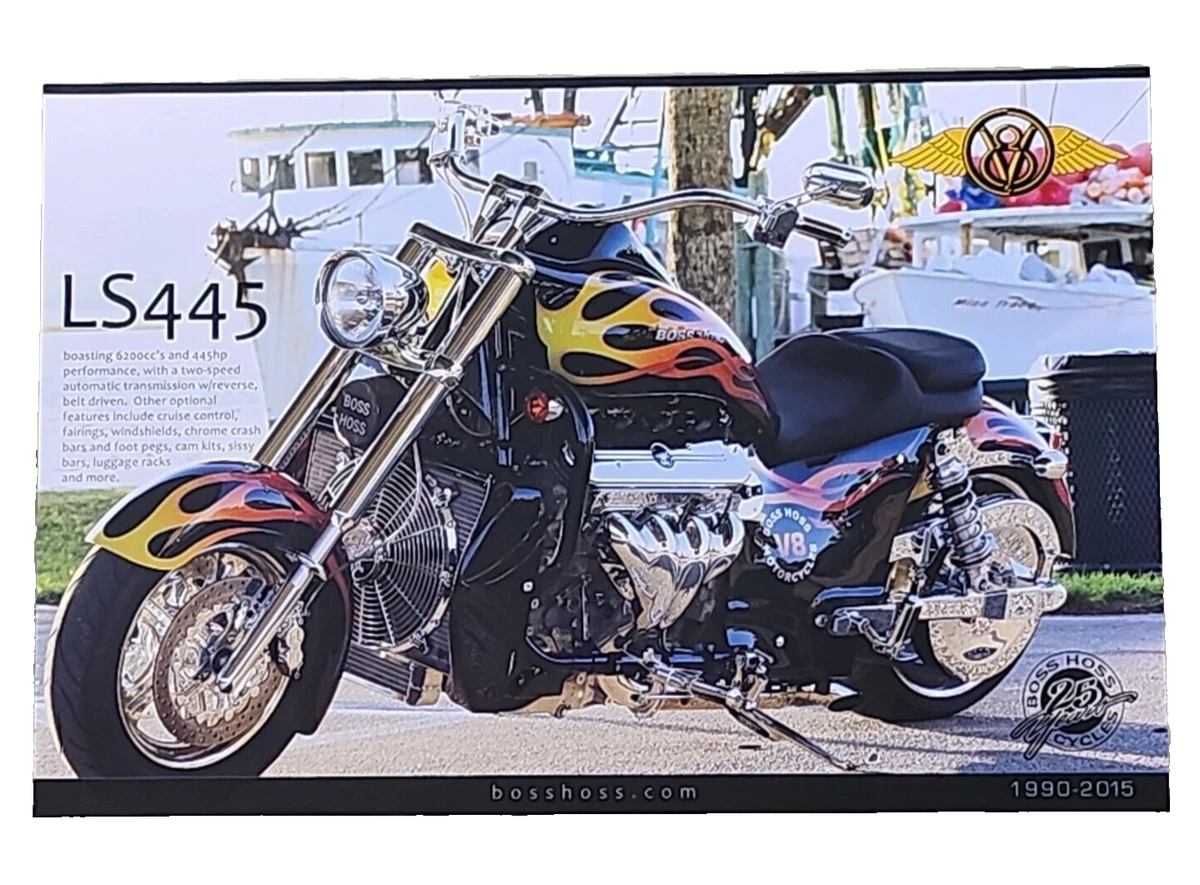 Ebay boss hoss deals