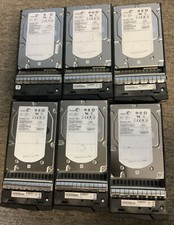 Lot of 6 SEAGATE Cheetah 15K.7 ST3450857SS 450GB 3.5" SAS Hard Drives