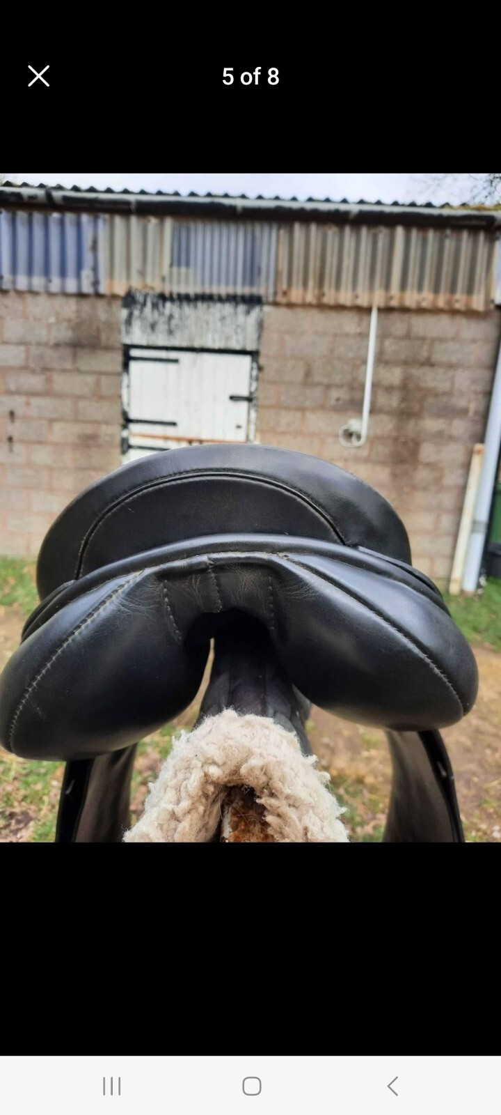 17" M/W Albion Selecta Saddle eBay