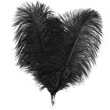 Black Ostrich Feathers Bulk - 30pcs 8-10 inches for Wedding Party Centerpiece.