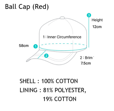 BTS ARIRANG BALL CAP Red - What is your Love Song? Official