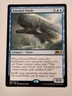 Pursued Whale - Magic Core Set 2021 M21 Magic the Gathering MTG Nice!