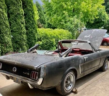 1965 Ford Mustang Standard 1965