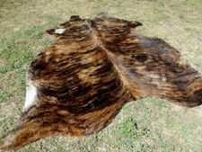 LARGE BRINDLE BROWN Cowhide Rug natural hair Cowhides Cow Hide Skin 6X6 FEET RC