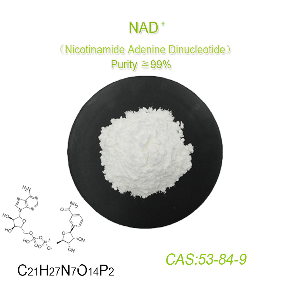 NAD+ Nicotinamide Riboside Powder Nicotinamide Adenine Dinucleotide ≥98%