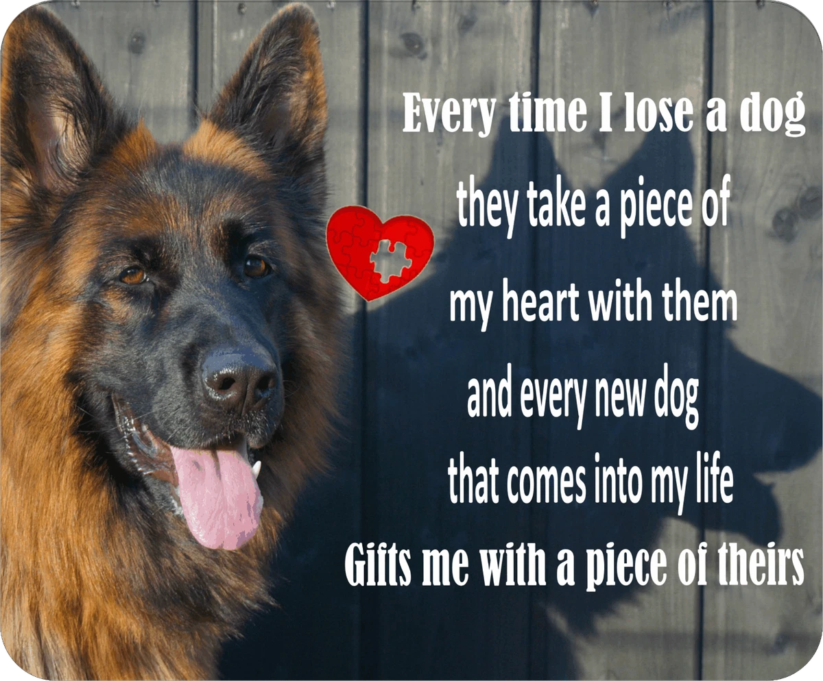 Sentimental dog gifts cheap