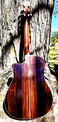 FENDER　エレアコ　GDC-200SCE Fender DG-200SCE Acoustic Electric Guitar Exotic Rosewood + Case