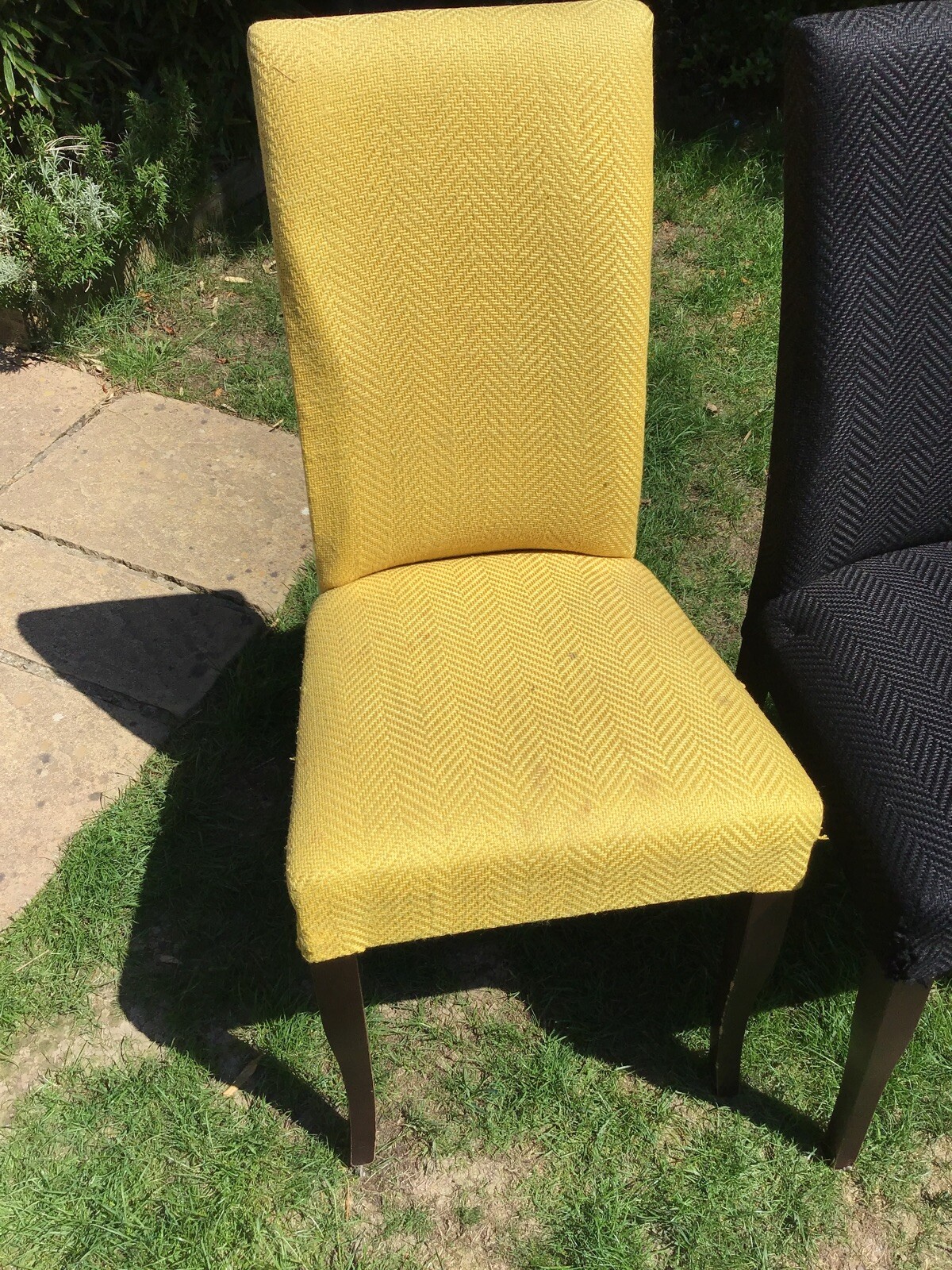 5 dining chairs eBay