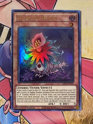 Yu-Gi-Oh! Future Glow Card - HSRD-EN057 Common 1st Edition, Continuous Spell