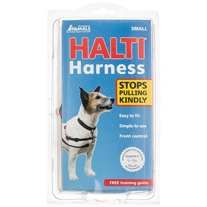 company of animals halti harness