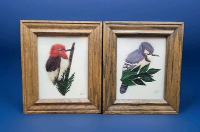 Anne Howe Framed Birds Woodie & Bluejay Yarn Work Dried Grass Weeds Evergreen