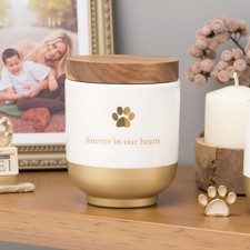 FOREVER IN OUR HEARTS Brown Ceramic Pet Memory Jar with Wooden Lid