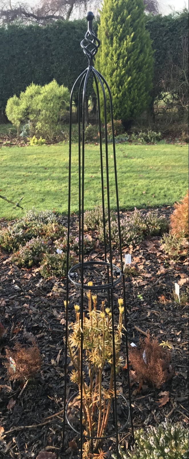 Drewton Metal Garden Obelisk Climbing Plant Cage Support Frame Large 1.7m