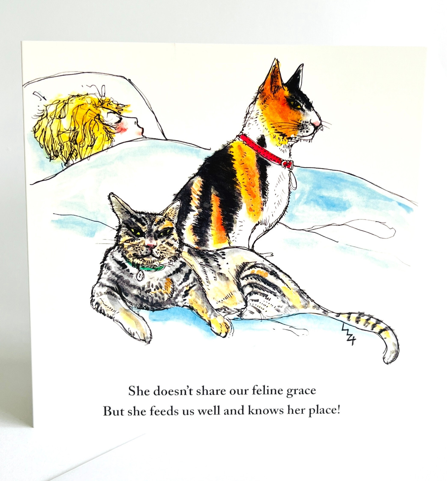 FUNNY CATS CARD FOR HER ;CUTE; POEM AND PAINT; FUN FELINES;EXCLUSIVE;BIRTHDAY