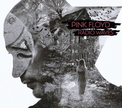 Audio Cd - Pink Floyd - Radio Waves (Broadcast Recordings)  - Expensive Woodland