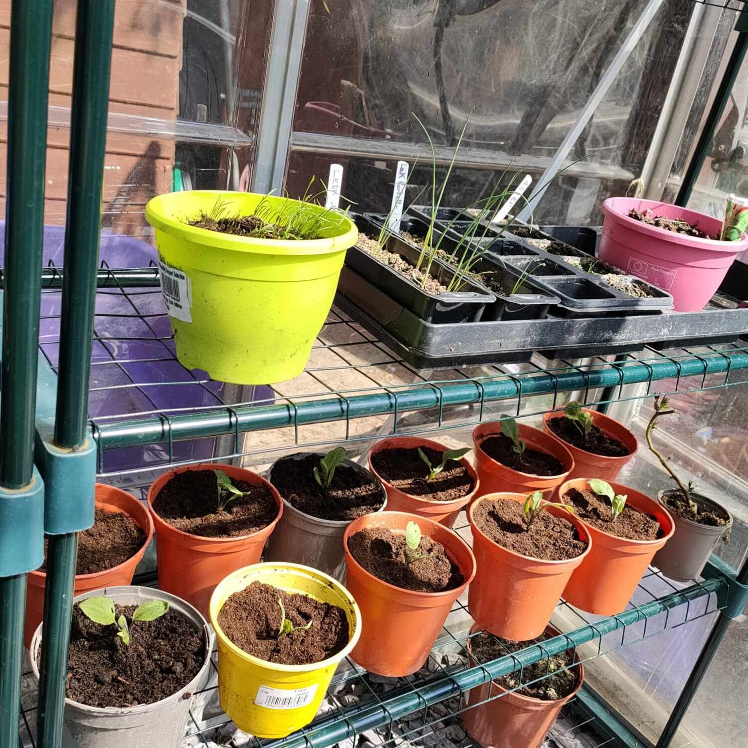 2 x Woodside Greenhouse Shelving Shed Racking Garage Staging Storage