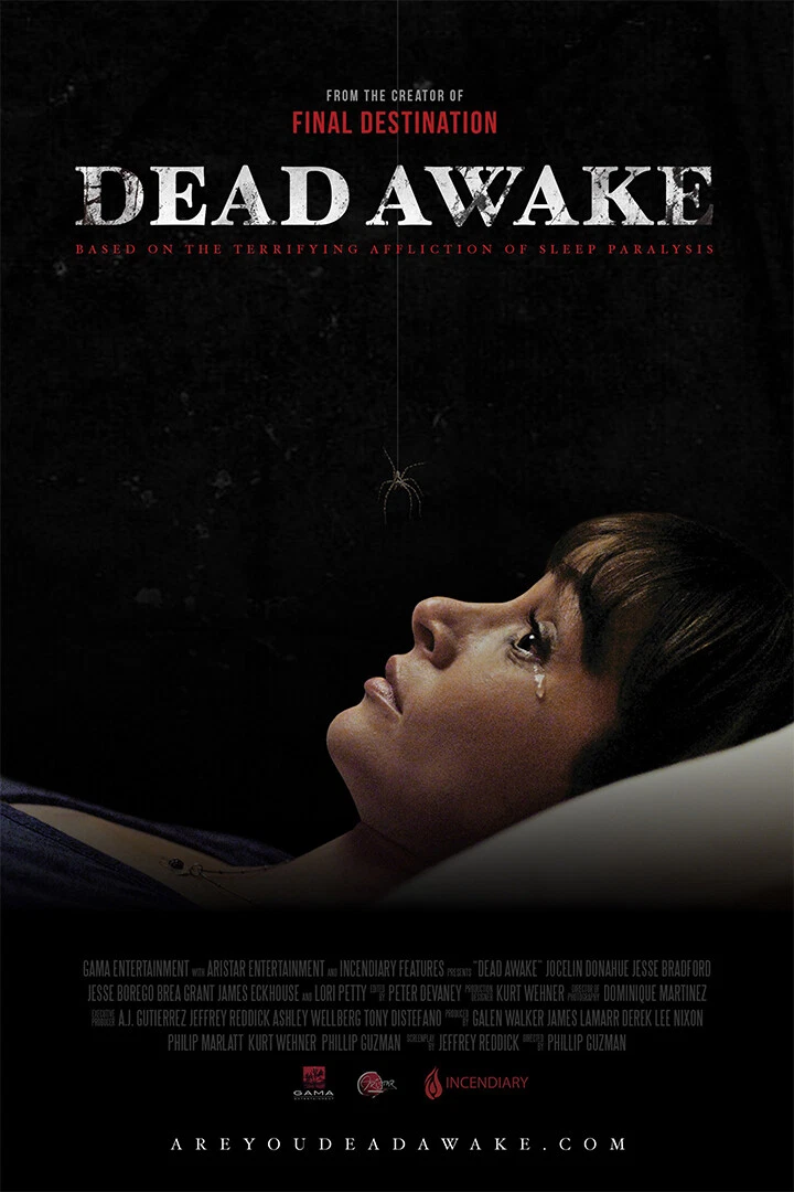 Dead Awake Movie Print Horror Story Film Wall Art Home Decor - POSTER 20x30  | eBay