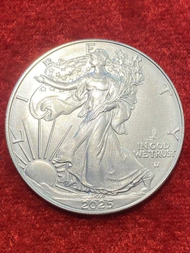 2025 American Silver Eagle PRIVY MARK  1 oz  .999 Fine