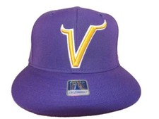 Minnesota Vikings Collecting and Fan Guide 12