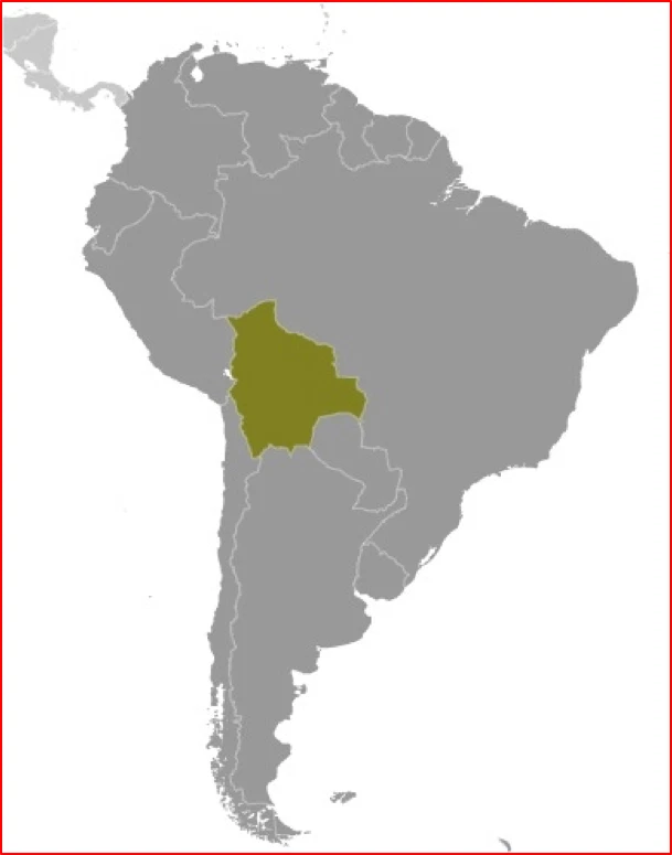 Valor Scott de $19,35 - 1988 bolivia loros América del Sur aves CV MNH NH UMM Foto 4 de 4