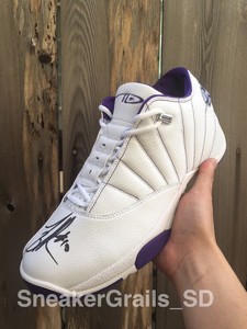 mike bibby jordan 12