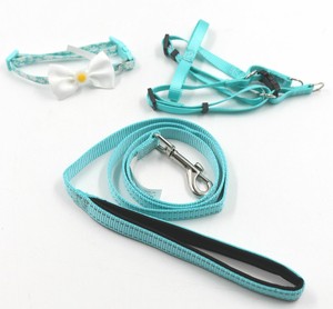 vibrant life leash