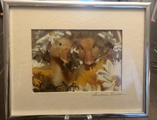 Duck Photograph Picture Signed Larry Berman Matte/Frame Silver Tone