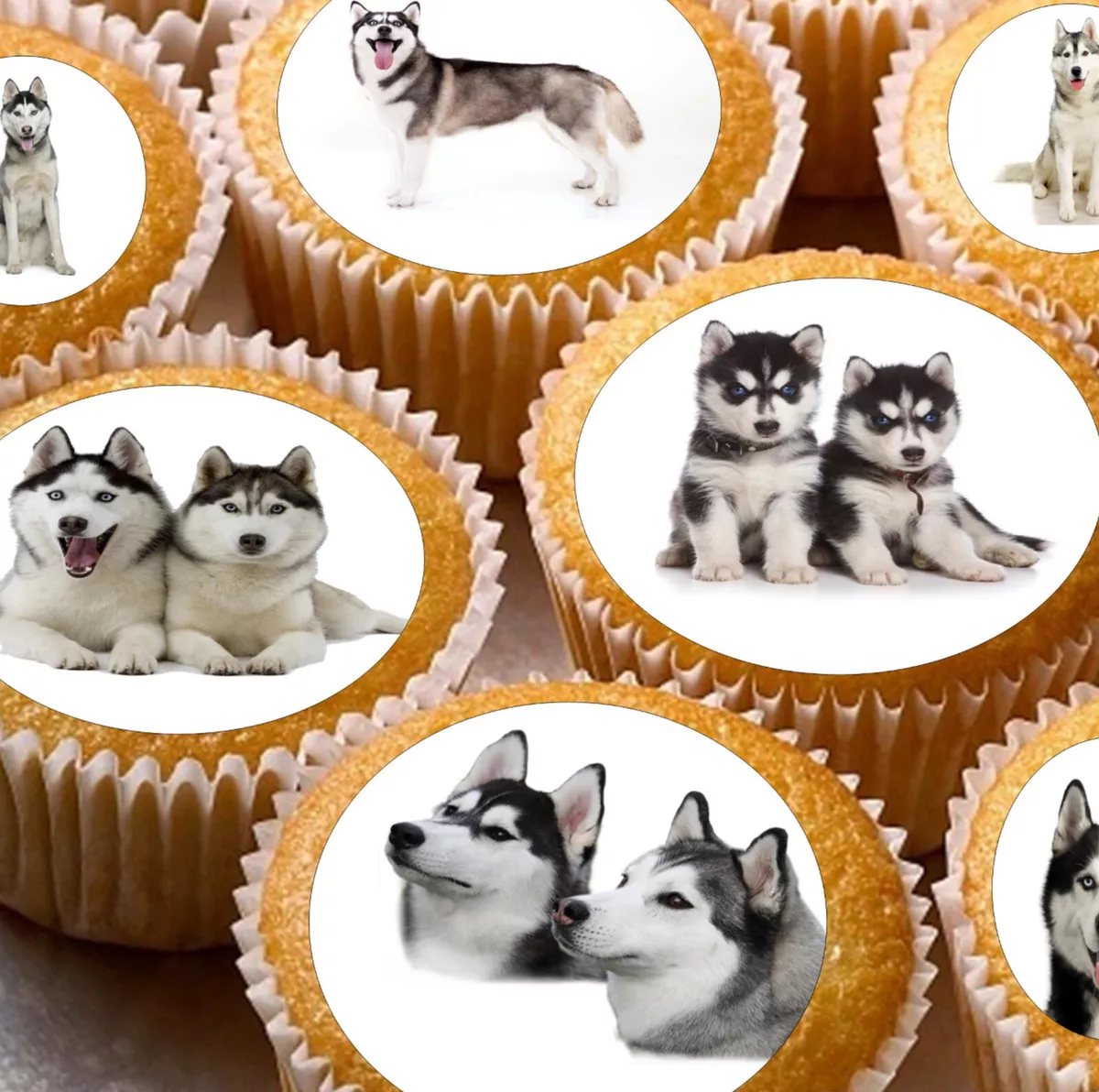 Fondant husky store