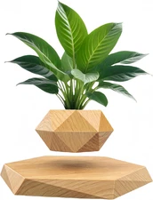 Levitating Plant Pot, Floating Plant Pot Small Floating Flower Pot, Ship from US