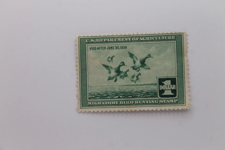 RW-4 1937 Federal Duck Stamp Print &  Stamp - Image 4 of 4