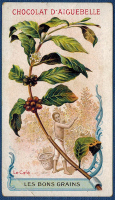 Antique chromo-Chocolaterie d'aiguebelle-Les bons grains''le cafe-D.42