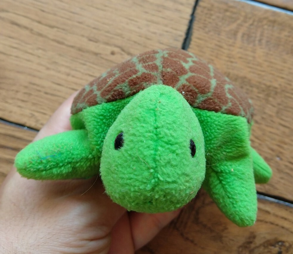 cute plush turtle