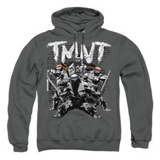 Teenage Mutant Ninja Turtles "Team'" Pullover Hoodie, Sweatshirt or Long Sleeve