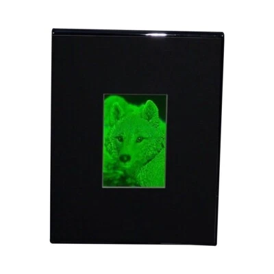 HOLOBRANDS 3D Arctic Wolf 2-Channel Hologram Picture (DESK STAND), Collectible Photopolymer