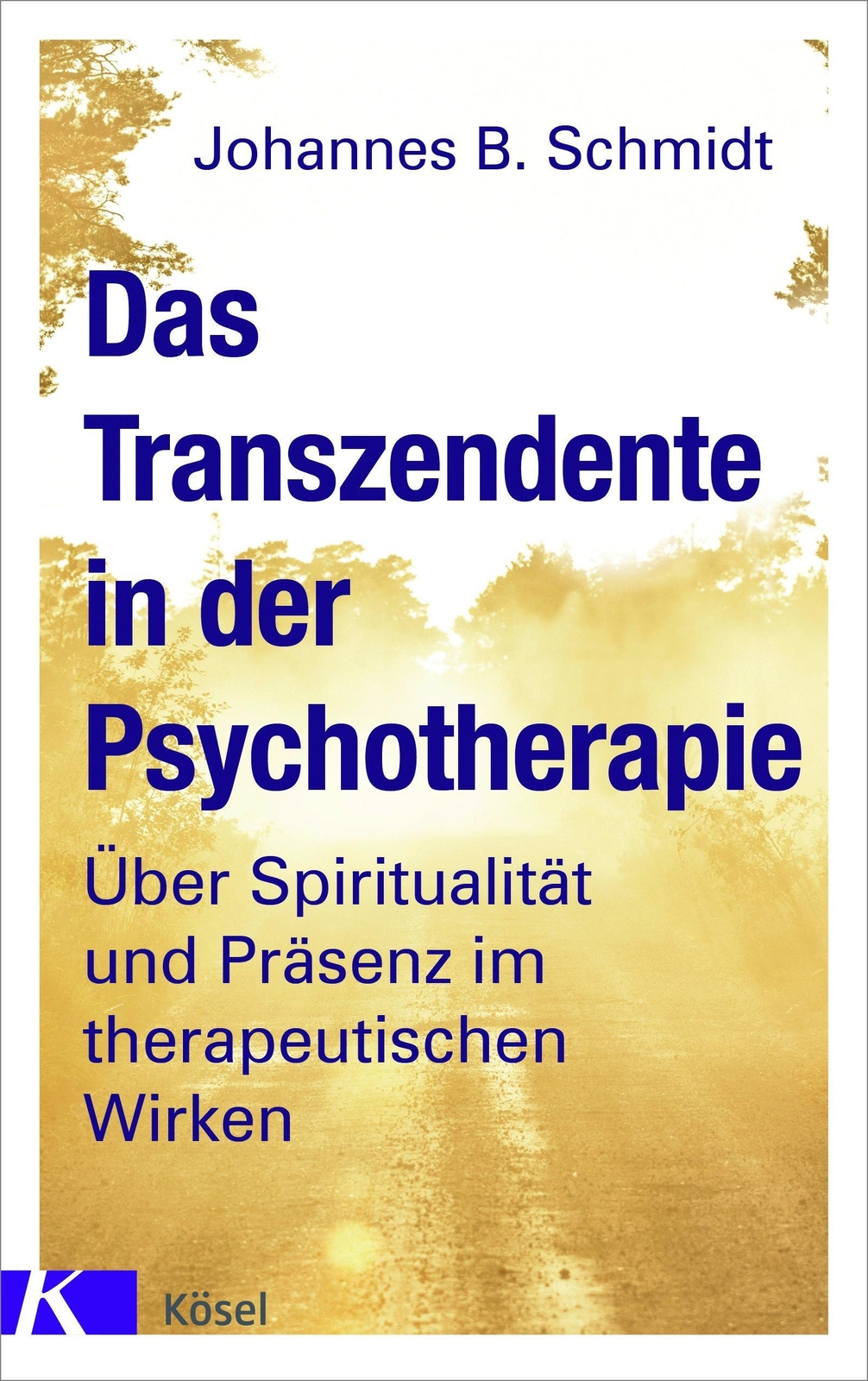 Das Transzendente In Der Psychotherapie Johannes B. Schmidt Buch 288
