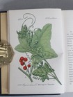 Foto 6 di 7