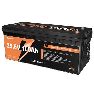 LiFePO4 100Ah 24V Lithium Batterie Wohnmobil Solarbatterie Solar Boot Akku BMS