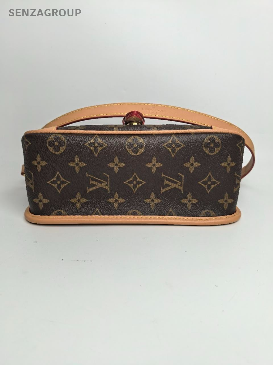 SJ0001 LV Diane baguette bag Z | eBay