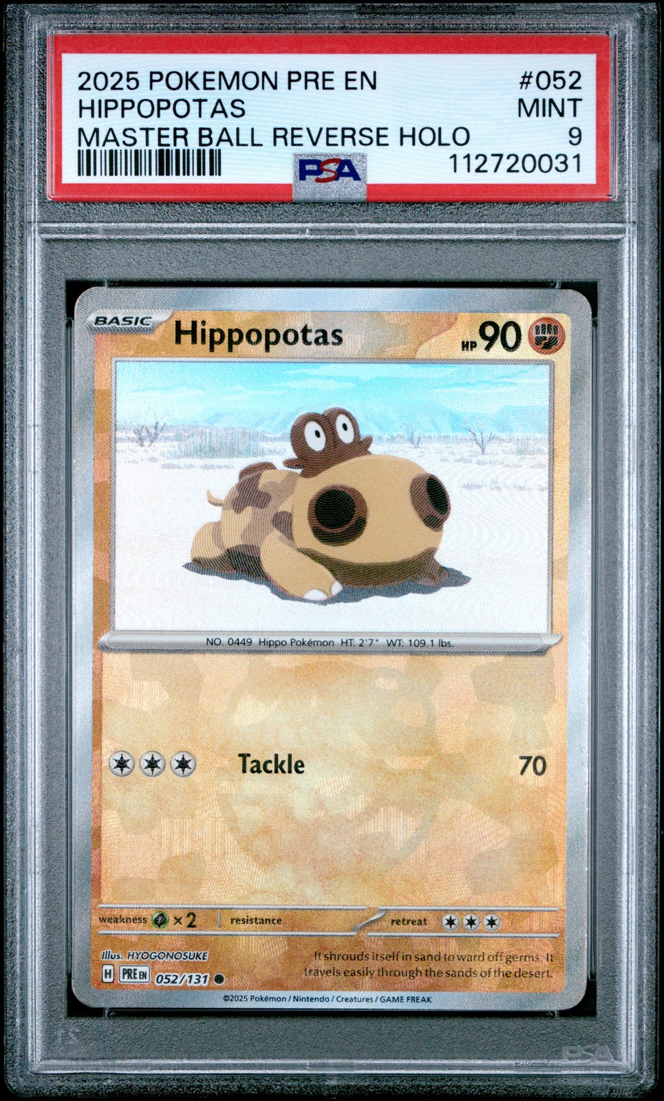 Hippopotas #52