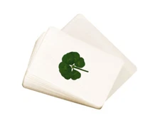 LAMINATED REAL GENUINE SIX Leaf Clover Shamrock Trifolium repens - CERTIFIED