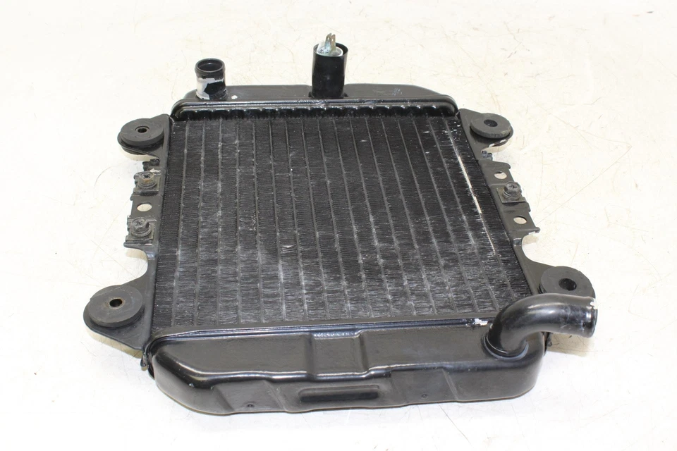 2006 Kawasaki Ninja 250r Ex250f Engine Radiator Motor Cooler Cooling Radiater Foto 4 de 4